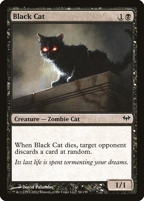 【EN】黒猫/Black Cat [DKA] 黒C No.54