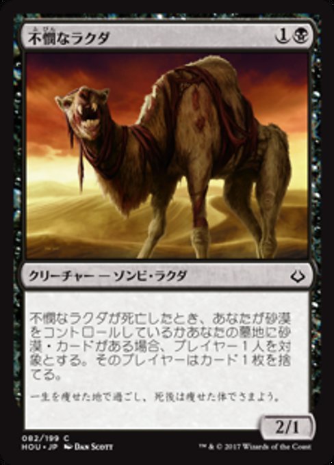 【Foil】【JP】不憫なラクダ/Wretched Camel [HOU] 黒C No.82