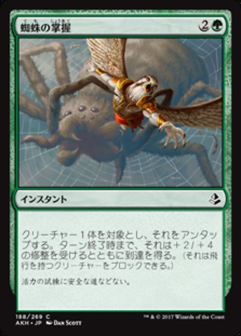 【Foil】【JP】蜘蛛の掌握/Spidery Grasp [AKH] 緑C No.188