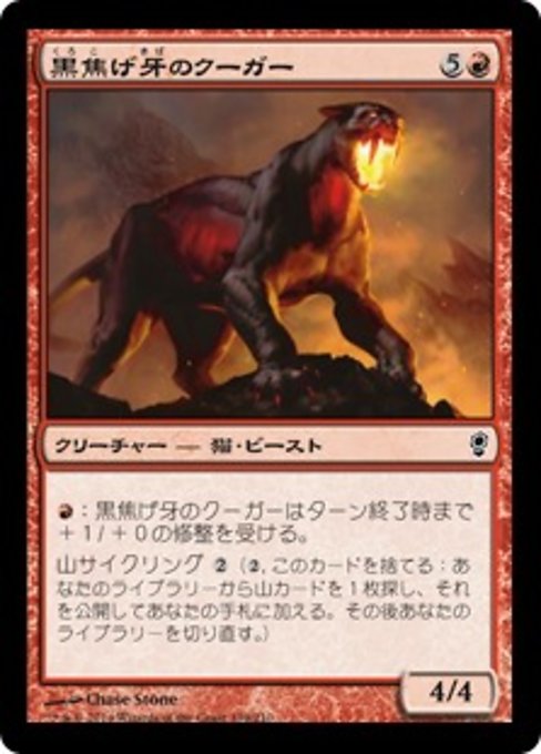 【Foil】【JP】黒焦げ牙のクーガー/Chartooth Cougar [CNS] 赤C