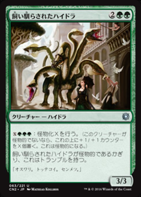【JP】飼い馴らされたハイドラ/Domesticated Hydra [CN2] 緑U No.63