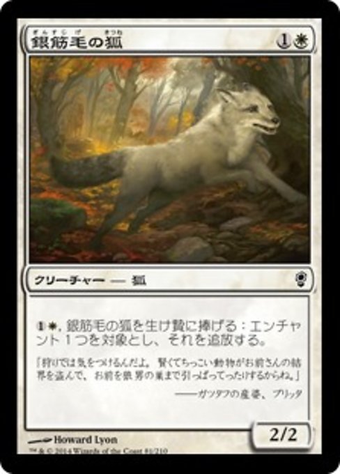 【Foil】【JP】銀筋毛の狐/Silverchase Fox [CNS] 白C No.81