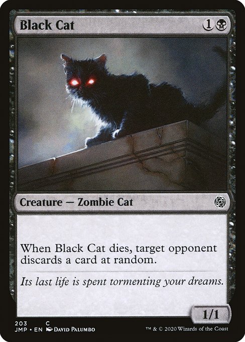 【EN】黒猫/Black Cat [JMP] 黒C No.203