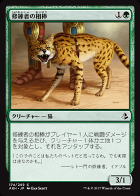 【Foil】【JP】修練者の相棒/Initiate's Companion [AKH] 緑C No.174