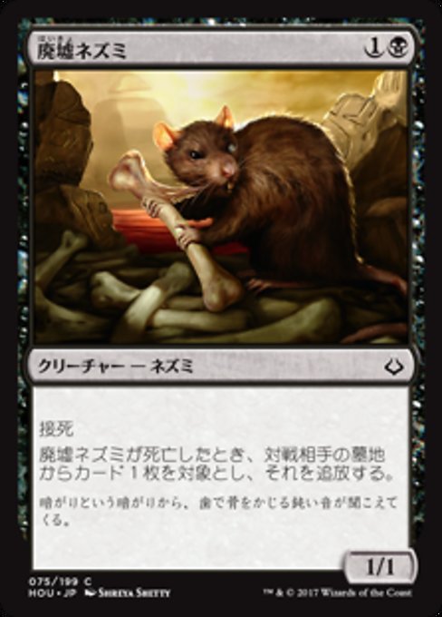 【Foil】【JP】廃墟ネズミ/Ruin Rat [HOU] 黒C No.75