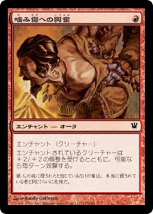 【Foil】【JP】噛み傷への興奮/Furor of the Bitten [ISD] 赤C No.143