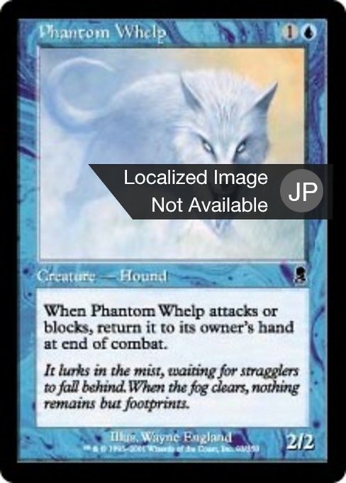 【Foil】【JP】幻影の仔/Phantom Whelp [ODY] 青C No.93