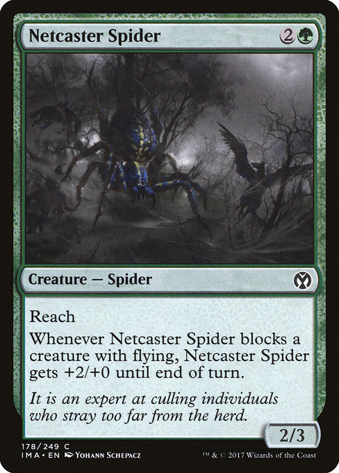【Foil】【EN】網投げ蜘蛛/Netcaster Spider [IMA] 緑C No.178