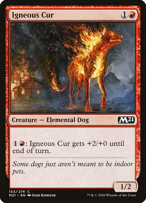 【Foil】【EN】炎血の野犬/Igneous Cur [M21] 赤C No.153