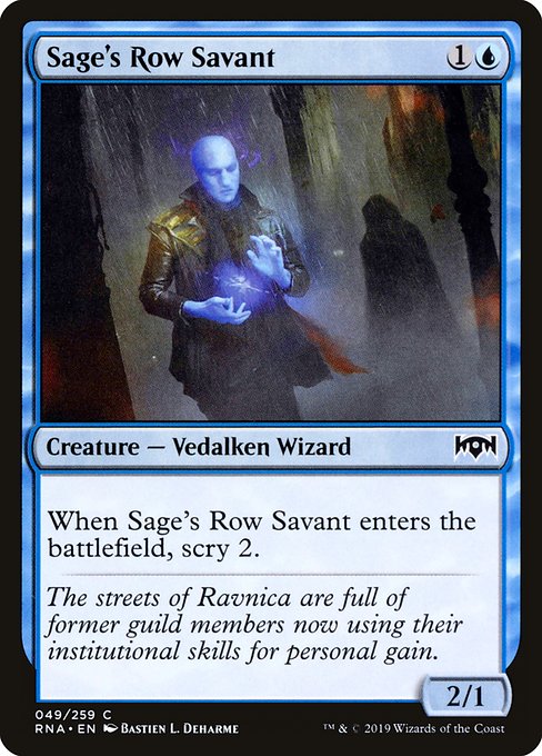 【EN】賢者街の学者/Sage's Row Savant [RNA] 青C No.49