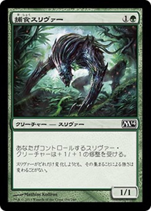 【Foil】【JP】捕食スリヴァー/Predatory Sliver [M14] 緑C No.189