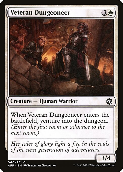 【Foil】【EN】古参の迷路探索者/Veteran Dungeoneer [AFR] 白C No.40