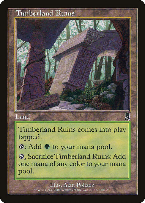 【Foil】【EN】森林地の廃墟/Timberland Ruins [ODY] 無C No.330