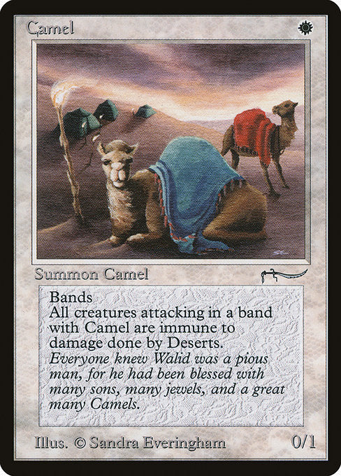 【EN】Camel [ARN] 白C No.3