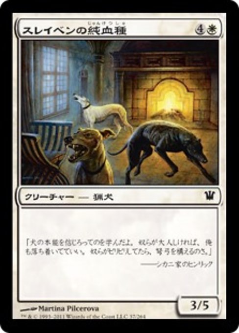 【Foil】【JP】スレイベンの純血種/Thraben Purebloods [ISD] 白C No.37