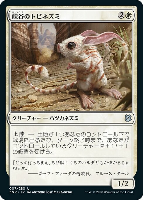 【Foil】【JP】峡谷のトビネズミ/Canyon Jerboa [ZNR] 白U No.7