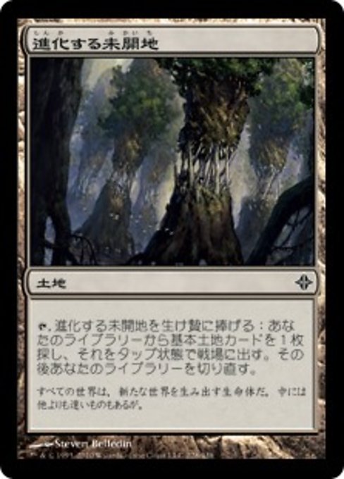 【Foil】【JP】進化する未開地/Evolving Wilds [ROE] 無C No.228
