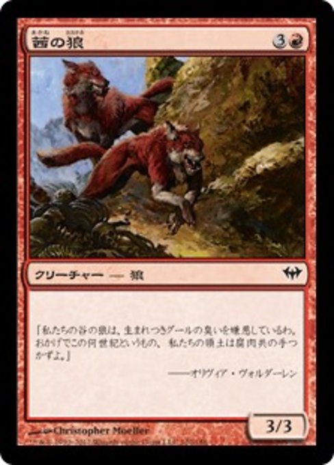 【JP】茜の狼/Russet Wolves [DKA] 赤C No.102