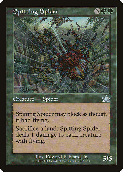 【EN】毒吐き蜘蛛/Spitting Spider [PCY] 緑U No.125