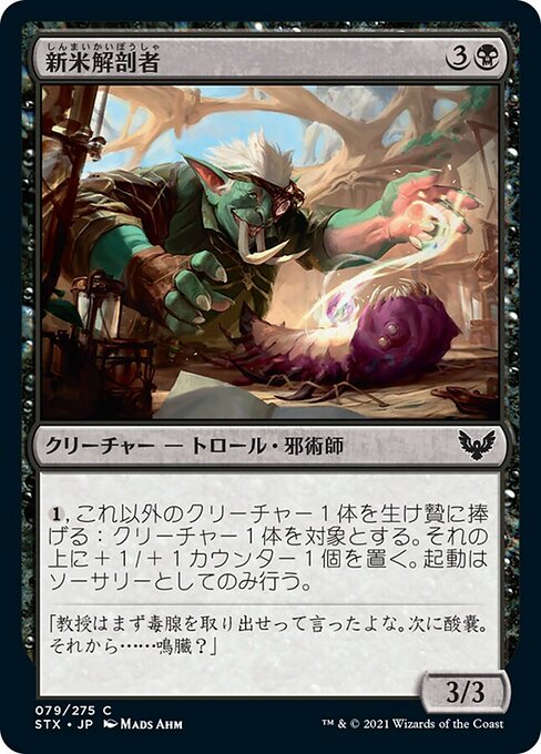 【Foil】【JP】新米解剖者/Novice Dissector [STX] 黒C No.79