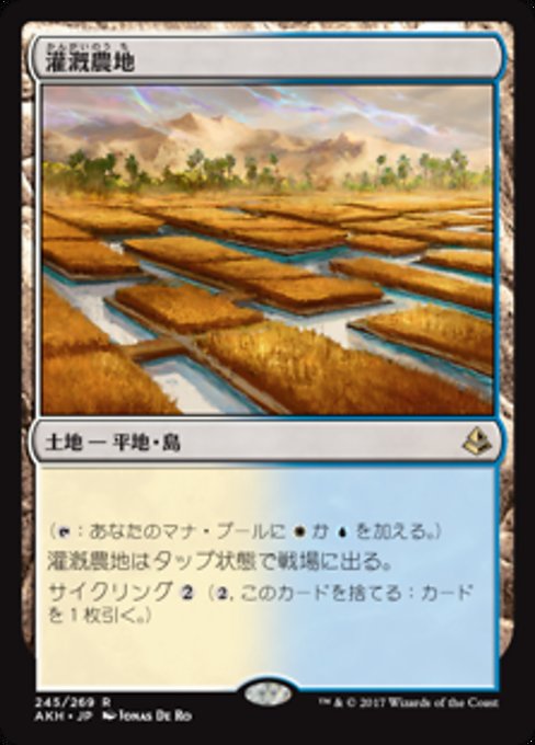 【JP】灌漑農地/Irrigated Farmland [AKH] 無R No.245