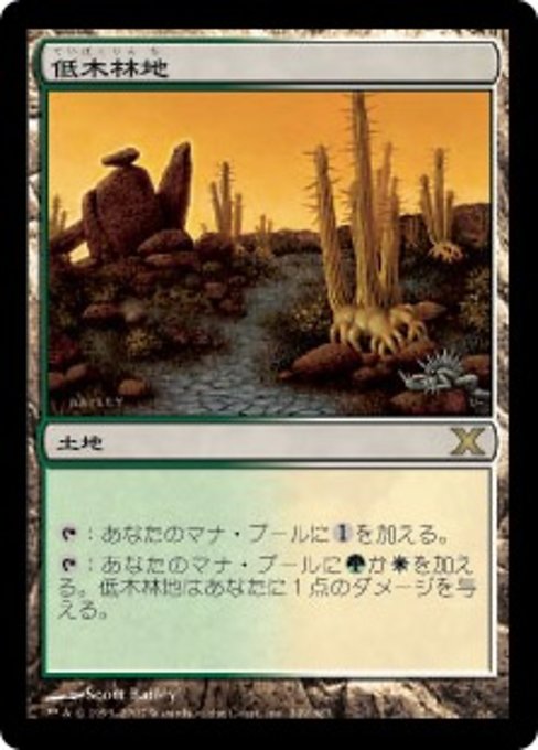 【Foil】【JP】低木林地/Brushland [10E] 無R No.349