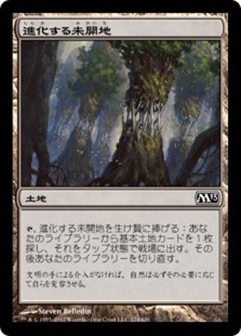 【Foil】【JP】進化する未開地/Evolving Wilds [M13] 無C No.224