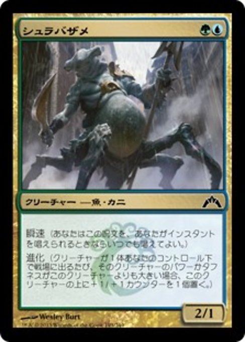 【Foil】【JP】シュラバザメ/Shambleshark [GTC] 金C No.193