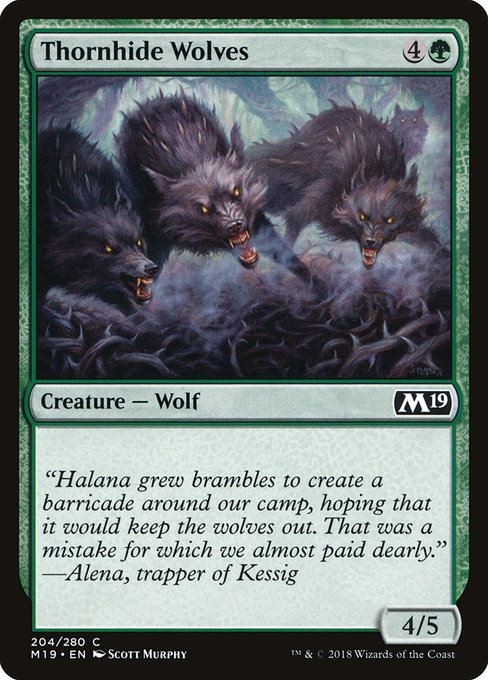【Foil】【EN】茨隠れの狼/Thornhide Wolves [M19] 緑C No.204